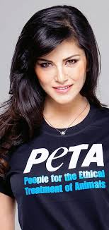 Leon kralları HD telefon duvar kağıdı