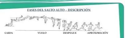 A técnica do salto em altura: Cuales Son Las Fases Del Salto Alto Brainly Lat