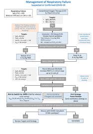 Covid 19 And Critical Care