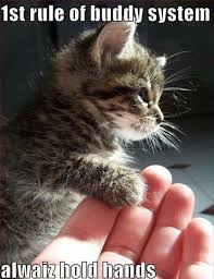 Beware Of Animals With Funny Captions 28 Pics Cute Animal Quotes Funny Animals Cute Funny Animals