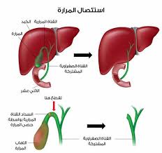 دوغان خدمات علاجية وتجميلية أسطنبول posts facebook