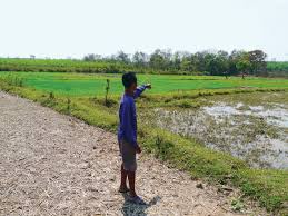 See related links to what you are looking for. Rural Development In Southeast Asia