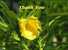 Thank you for having me. 21 Thank You Flowers Ideas Thank You Flowers Flowers Thank You