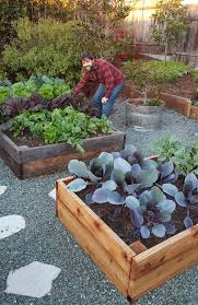 Build a raised bed in your garden, and notice fewer weeds, fluffier soil. Raised Garden Beds Vs In Ground Beds Pros Cons Homestead And Chill