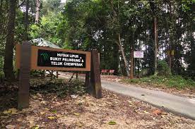 Altitude and heading are displayed below the graph. Hutan Lipur Negeri Pahang Forestry Department Peninsular Malaysia