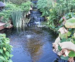 The two smaller systems are not continuous. Nathan Blom Author At Easypro Pond Products