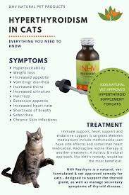 Pin On Thyroid Issues In Pets