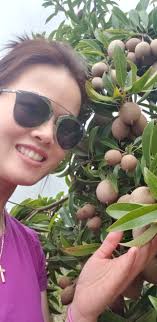 Where can I find a Vietnamese owned fruit farm in Florida?