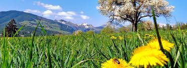In den milden tallagen beginnt die apfelblüte. Fruhlingserwachen Gunstiger Urlaub Im April Putzerhof