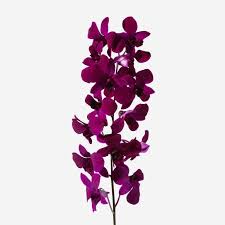 You can send flowers tomorrow. Black Roses And Flowers Dark Coloured Flowers Flowerbx