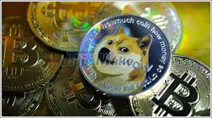 The five best cryptocurrencies to invest in next year. What Is Dogecoin Virtual Currency Should We Invest How To Earn Dogecoin Fast