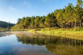 Still waters run deep is a proverb of latin origin now commonly taken to mean that a placid exterior hides a passionate or subtle nature. Meaning Origin And Usage Of The Proverb Still Waters Run Deep Penlighten