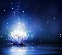 Flower Computer Wallpapers Desktop Backgrounds 5370x4780 Id 653594 Lotus Flower Meaning Blue Lotus Flower Wallpaper