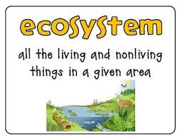 Biotic And Abiotic Factors In An Ecosystem Video Ecosystem Organization Levels Of The Environment Biotic Vs Abiotic Ecology Ecosystems Abiotic Habits Of Mind