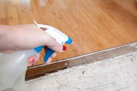 Dapatkan produk supplemen shaklee dari yana. Diy Spray Serbaguna Yang Boleh Hapuskan Semut Di Rumah Dalam Sekelip Mata