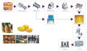 Mango Pineapple Processing Line Flow Chart Industry News