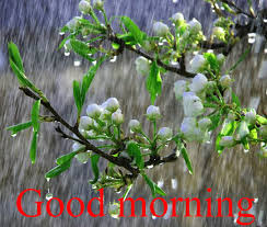 Life is about making an impact not making an income. Rainy Day Morning Wishes