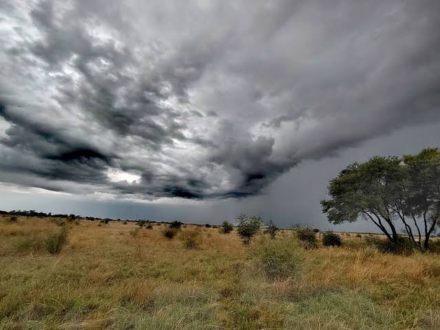 weather