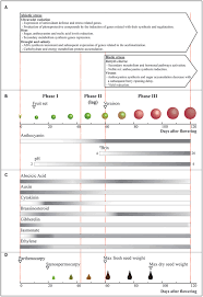 Descubre lo que daniel vélez (danielvlez) encontró en pinterest, la colección de ideas más grande del mundo. Frontiers Omics Approaches For Understanding Grapevine Berry Development Regulatory Networks Associated With Endogenous Processes And Environmental Responses Plant Science