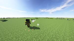 Java edition and minecraft while every version of minecraft is still minecraft, the differences between the bedrock and java versions can be quite extensive. What Is Recommended Minecraft Java Edition Or Minecraft Windows 10 Edition To Stream On Twitch Quora