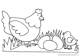 Segala upaya dikerahkan agar keturunannya sehat dan terlindungi. Gambar Mewarnai Ayam Untuk Anak Paud Dan Tk Aneka Gambar Mewarnai Gambar Hewan Gambar Flora Dan Fauna Seni Pola