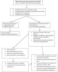 Image result for Neutropenic Colitis