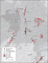 Image result for Eriosema monticola