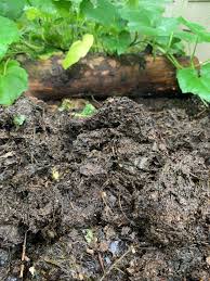 It's also the best for gardens with flowers. My Compost Smells Like Cow Manure Is That Normal This Is My First One And Also How Do I Know When I Can Put It On Plants Out Seems Slimy Gardeninggonewild