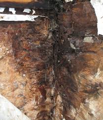 When i was digging to find a marking on the back of the siding on the house i saw there was no sheeting beneath the siding. What S The Building Code For Housewrap Installation Fine Homebuilding