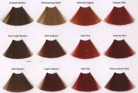 Red Hair Color Chart I Like The Copper Red And Red Fire