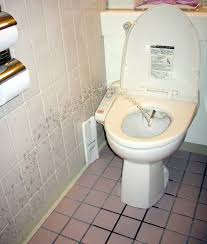 11 Fantastic Bathrooms In China Toilets In Japan Wikipedia In Ucwords Bathroom Bidet Japanese Toilet Toilet