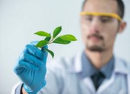 Presentación de PowerPoint