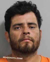 GOMEZ PEREZ DENNIS ARIEL 12/17/2024