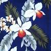 Pink hibiscus, heliconia, plumeria flowers and monstera leaves. 1