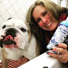 TOP 10 BEST Bulldog Vet near West Hempstead, NY