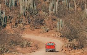This inexpensive, yet bright, saguaro cactus light was an excellent addition to my living room! Mexico Road Trip All You Need To Know About Driving In Mexico