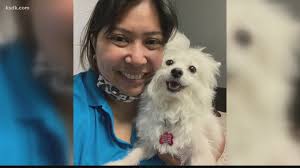 Meet the woman trying to find homes for St. Louis pets surrendered during  the pandemic