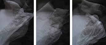 work — CYNTHIA RANDOLPH