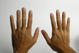 Image result for hands