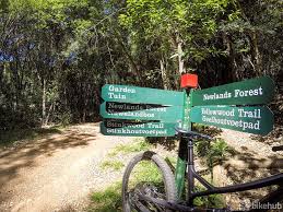 I hiked this in early may, and the conditions were perfect; Introducing The Newlands Forest To Constantia Nek Mountain Bike Trail