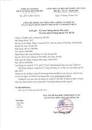 CÔNG TY CỔ PHẦN DỊCH VỤ HÀNG HÓA NỘI BÀI - Só