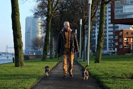 Add a bio, trivia, and more. Juf Stephanie Geknakt Door Werk Als Jullie Deze Kaart Lezen Ben Ik Er Niet Meer Foto Ad Nl