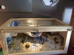 Diy Wood Hamster Cage 2 Door 2 Level Posted In Supplies Accessories My 10 Yr Old Son Just Loves His Hamster Bin Cage Hamster Diy Cage Hamster Cage