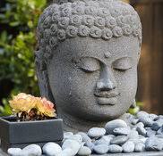 SHEPARD DESIGN LANDSCAPE ARCHITECTURE