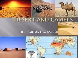 The lining of the mouth is so tough that the sharp thorns cannot push through the skin. By Rudyard Kipling How The Camel Got His Hump About The Writer Rudyard Kipling Was Born On December 30 1865 In Bombay India He Was Educated In England Ppt Download