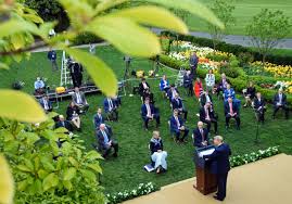 We are the most experienced lawn care contractors cairns. Trump S Pandemic Plan Absolute Authority No Responsibility The New Yorker