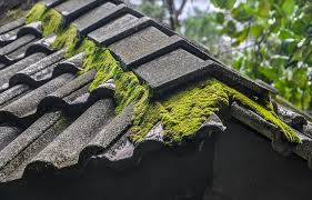 We did not find results for: Le Traitement Anti Mousse De Toiture Pour Facade Et Terrasse Guiderenovation Fr