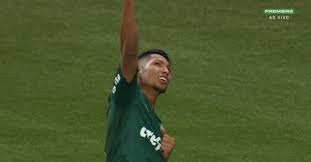 We did not find results for: Os Melhores Memes E Piadas De Palmeiras X Atletico Mg