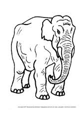 Tür öffnen, elefant rein, tür zu. Elefant In Der Grundschule Grundschulmaterial De