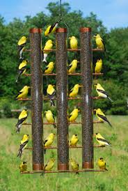 3 Tube Finch Feeder Finch Feeders Bird Feeders Finches Bird
